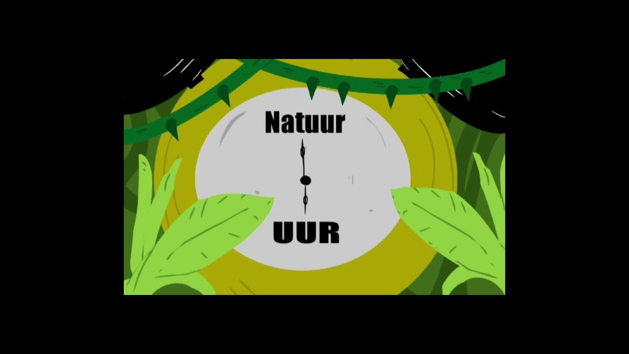 De Rui